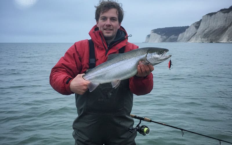 Silberblanke Meerforelle von der Nordküste Møns