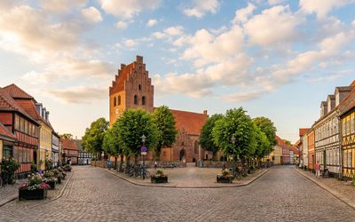 Faxe Kalkbruch – Fossilien und Korallenriff